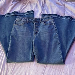 Wild Fable Flared Jeans